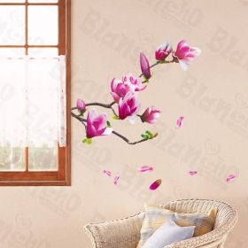 Cuckoo - Wall Decals Stickers Appliques Home Decor