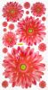 Slid Petals - Wall Decals Stickers Appliques Home Decor