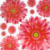Slid Petals - Wall Decals Stickers Appliques Home Decor