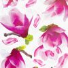 Cuckoo - Wall Decals Stickers Appliques Home Decor