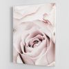 Pink Rose No 05 Canvas Print or Poster
