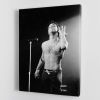 Prince live Canvas Print or Poster